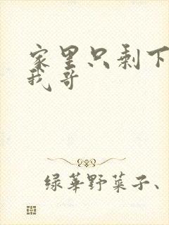 家里只剩下我和我哥