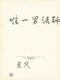 唯一男法师