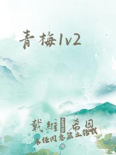 青梅1v2
