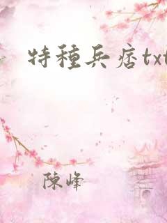 特种兵痞txt