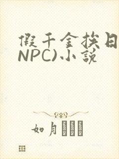 假千金挨日记(NPC)小说