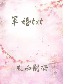 军婚txt