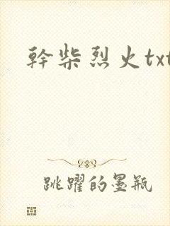 干柴烈火txt