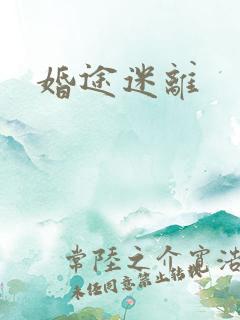 婚途迷离