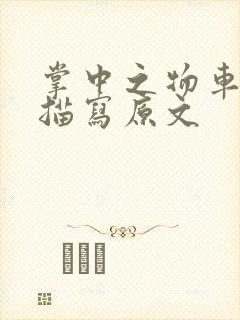 掌中之物车里震描写原文