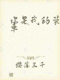 你是我的荣耀肉车