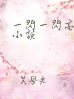 一闪一闪亮星星小说