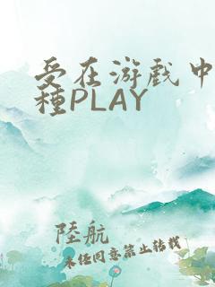 受在游戏中被各种PLAY