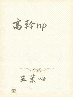 高干np