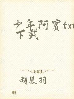 少年阿宾txt 下载