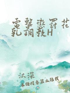 电击惩罚花蒂榨乳调教H