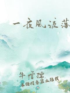 一夜风流落裔