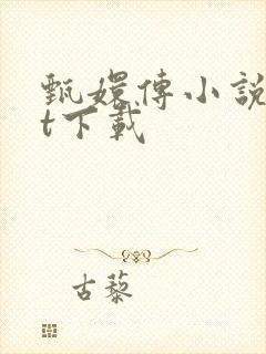 甄嬛传小说txt下载