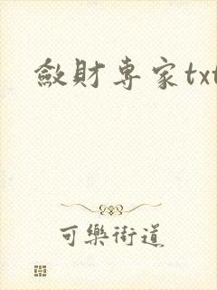 敛财专家txt