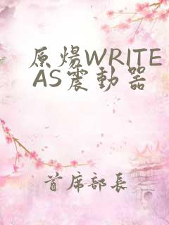 原炀WRITE AS震动器