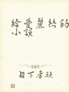 给爱丽丝的奇迹小说