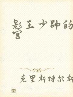 影王少帅的女长官