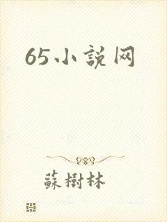 65小说网