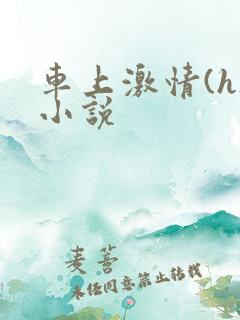 车上激情(h)小说