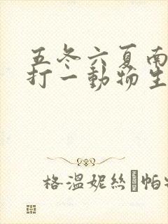五冬六夏南北聚打一动物生肖