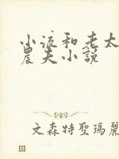 小流和老太69农夫小说