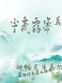 小东西你真能要了我的命