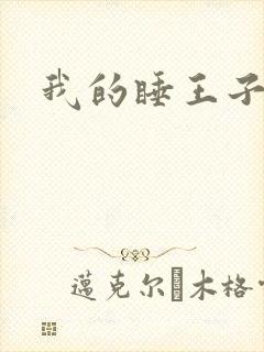 我的睡王子殿下