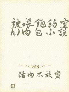 被喂饱的室友(h)肉包小说