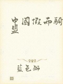 中国假面骑士联盟