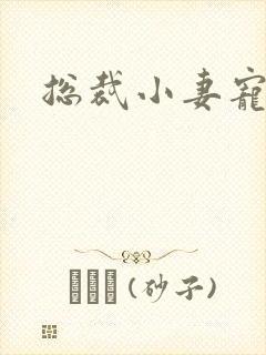 总裁小妻宠上天