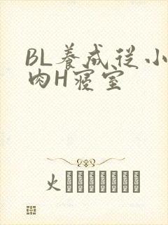 BL养成从小被肉H寝室