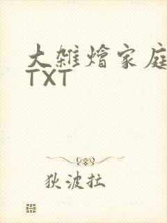 大杂烩家庭小说TXT