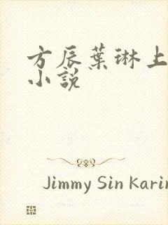 方辰叶琳上官步小说