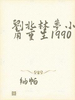 刘北林梦小说主角重生1990