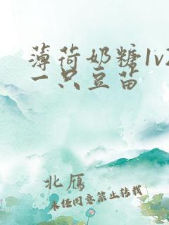 薄荷奶糖1v2一只豆苗