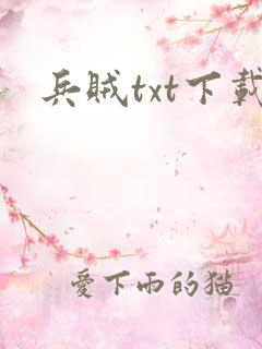 兵贼txt下载