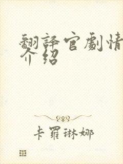 翻译官剧情分集介绍