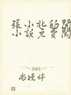 张小北的开光师小说免费阅读怎么没有276章