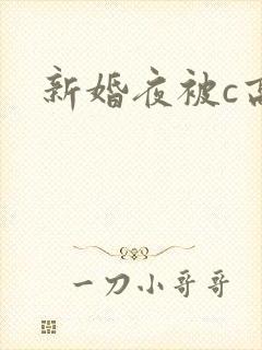新婚夜被c高h