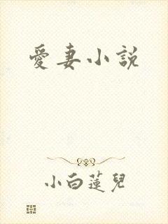 爱妻小说