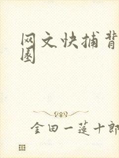 网文快捕背影家园