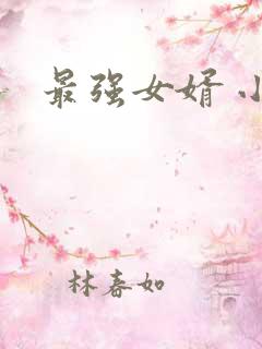 最强女婿 小说