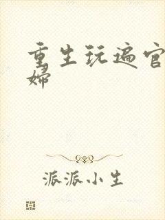 重生玩遍官场贵妇