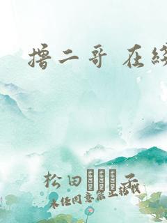 撸二哥 在线