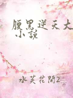 腹黑逆天大小姐 小说