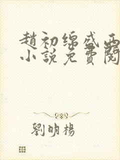 赵初绵盛西舫的小说免费阅读