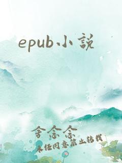 epub小说