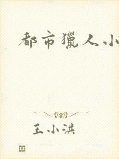 都市猎人小说