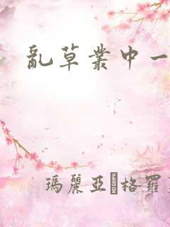 乱草丛中一杆枪