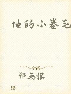 他的小卷毛